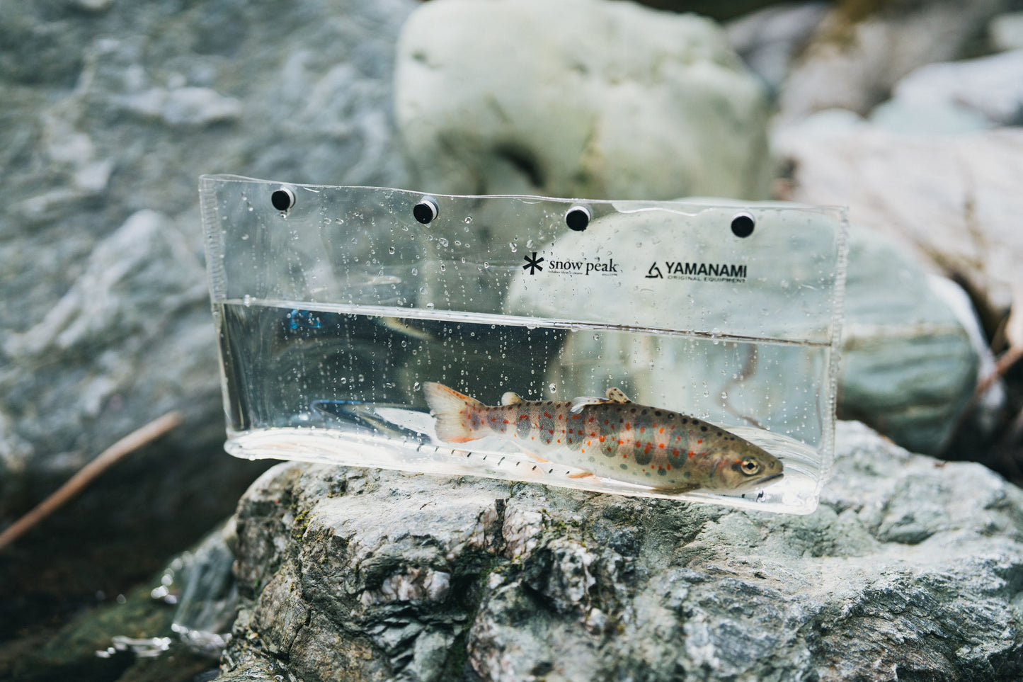 MYO-SP　Snow peak × 山波商店 「Capture L」