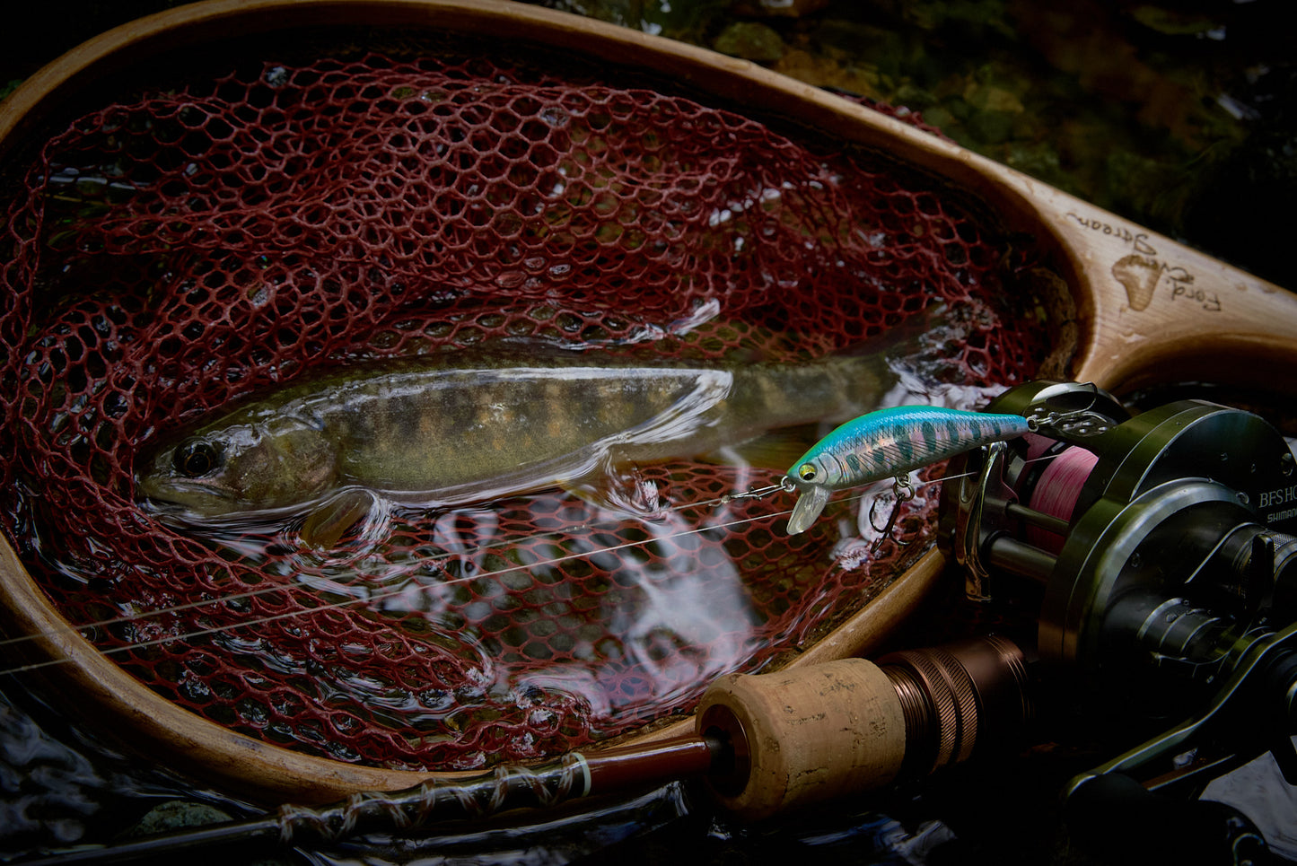 MYL01 A2 MINNOW 52S