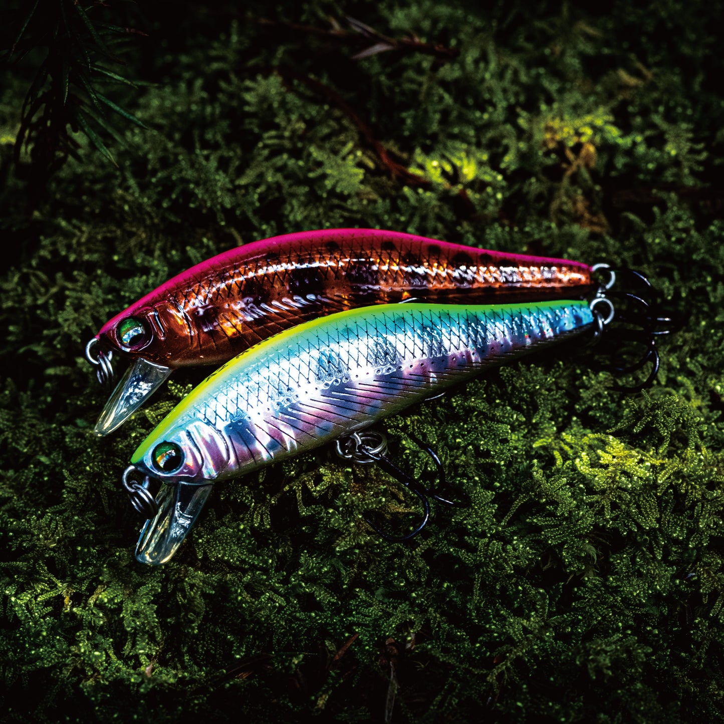MYL01 A2 MINNOW 52S